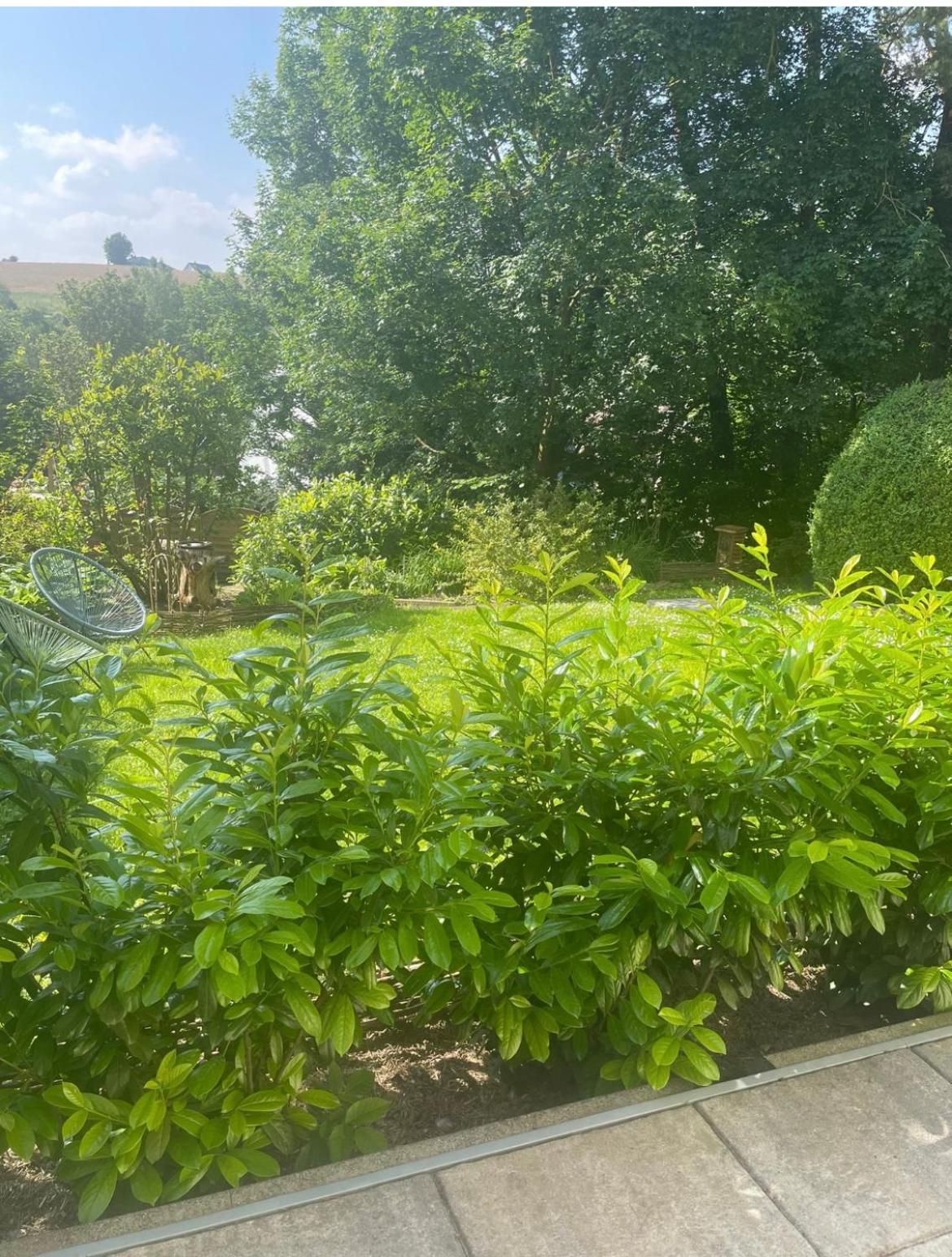 "Zur Gelassenheit" In Jugendstilvilla Sonnenschein Stolberg  Exteriör bild
